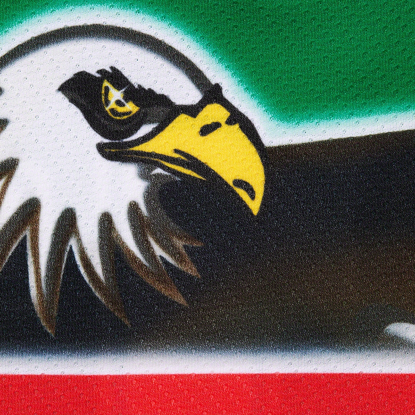 Eagle Hockey Jersey view 9